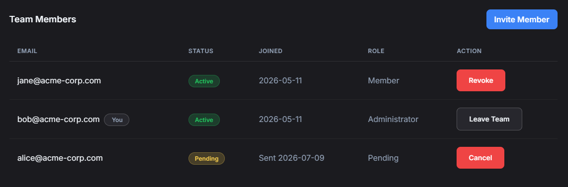 Team seat management dashboard